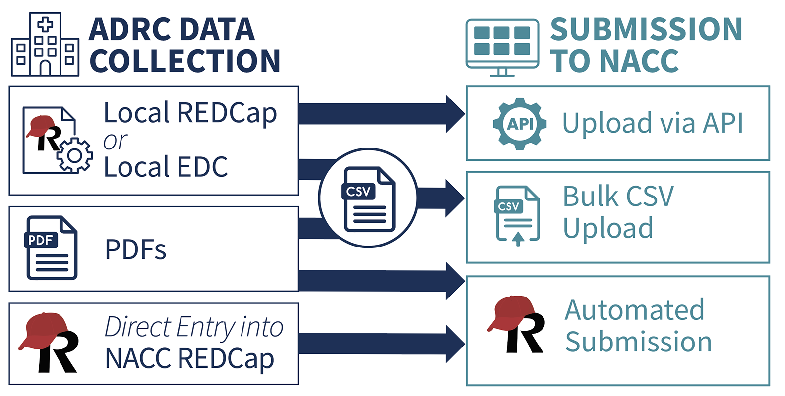 Collection and Submission Options
